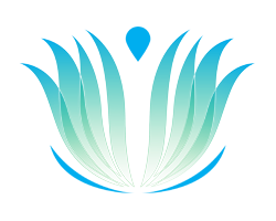 Renew Dental